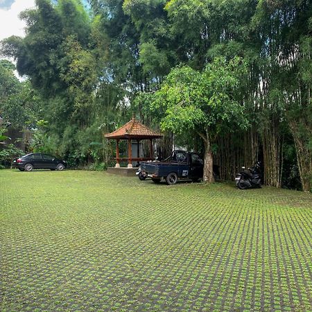 Senetan Villas And Spa Resort Ubud Buitenkant foto