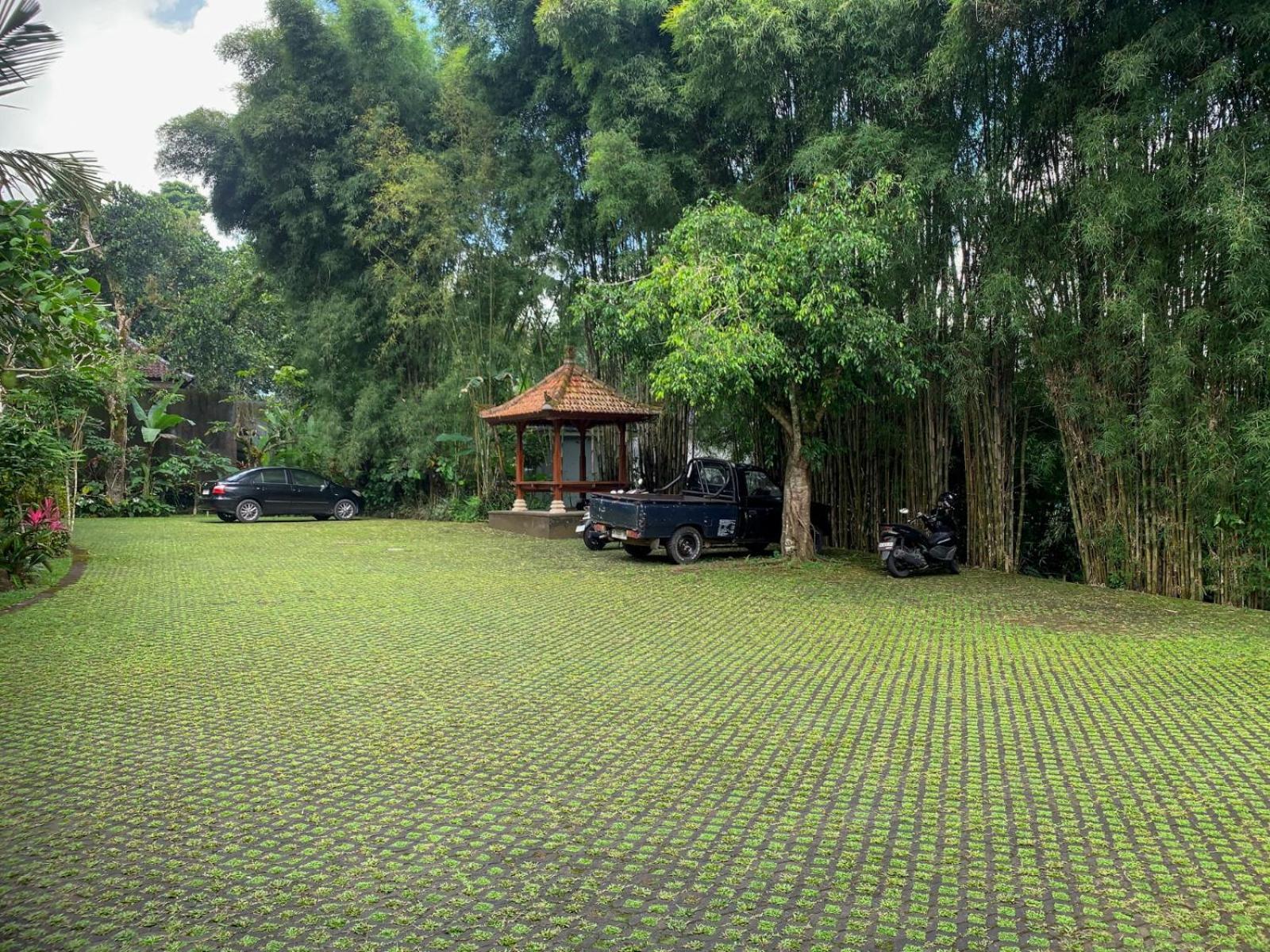 Senetan Villas And Spa Resort Ubud Buitenkant foto